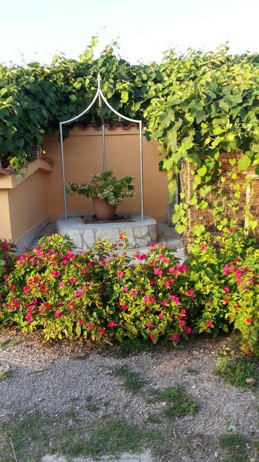Apartman Jadranka Palit Luaran gambar